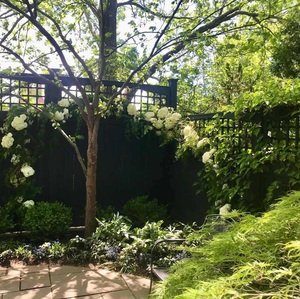 Photograph of floral wedding vine in backyard